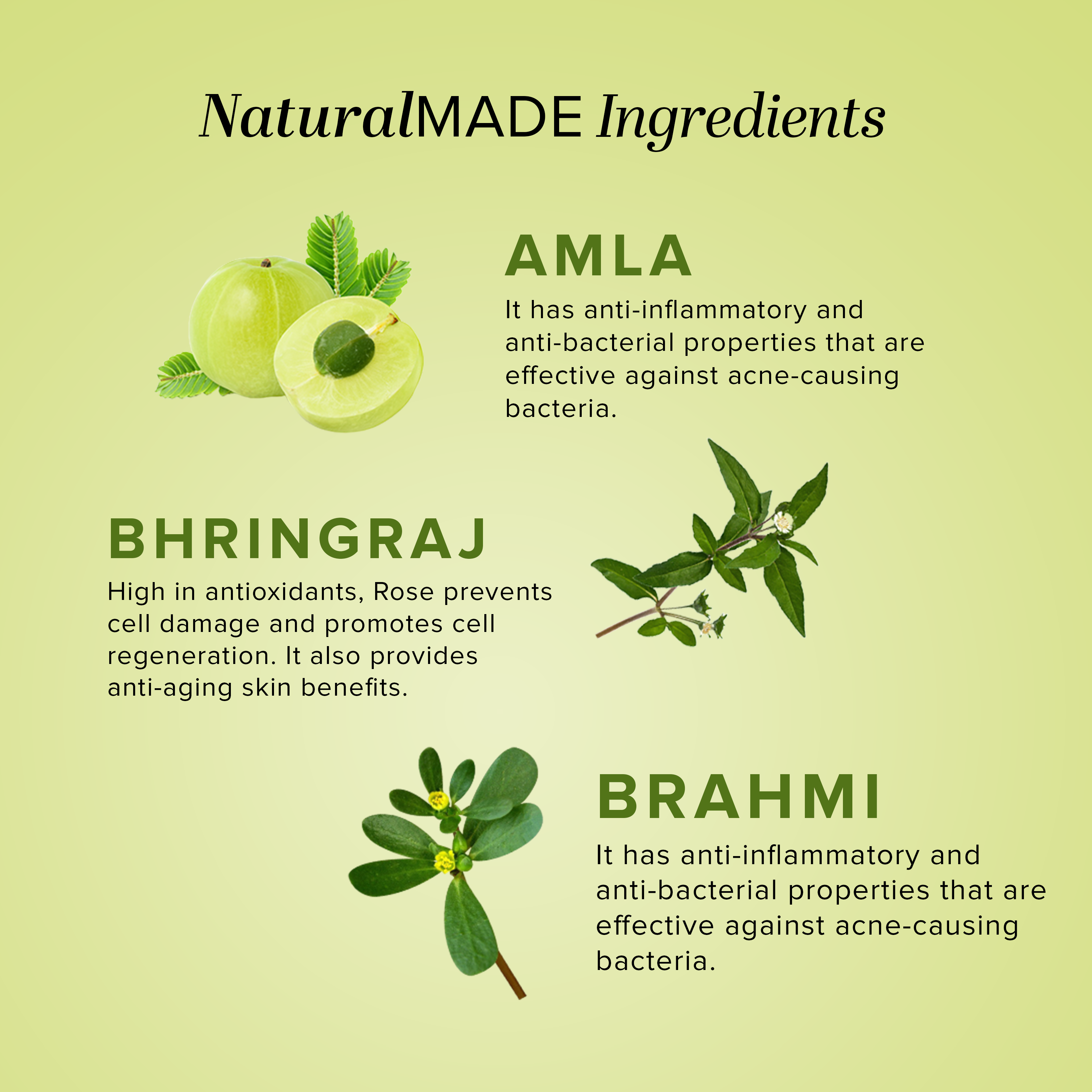 Khadi Natural Amla Hair Care Pack - 210ml Each