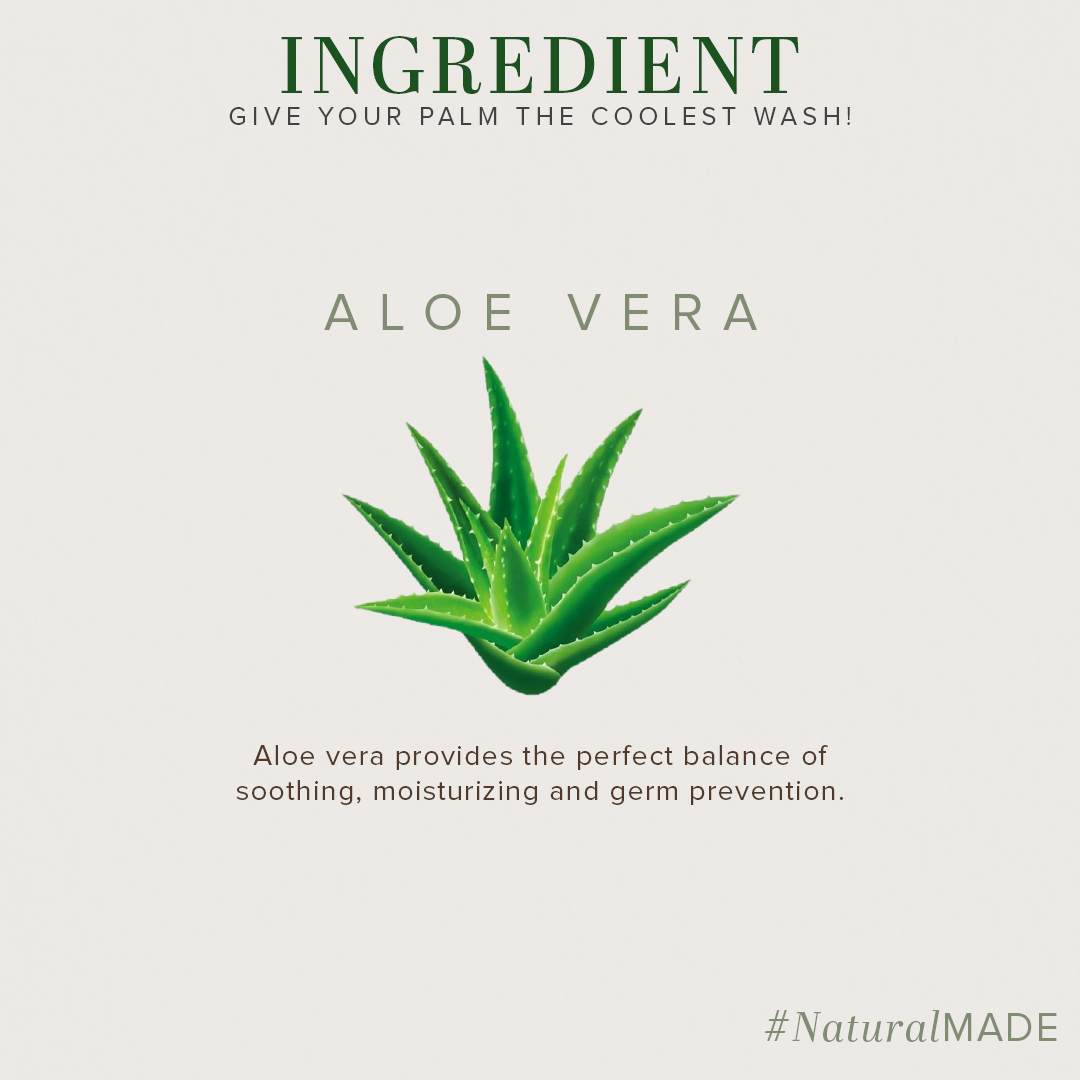 Khadi Natural Everyday Protection Aloe Vera Handwash - 300ml