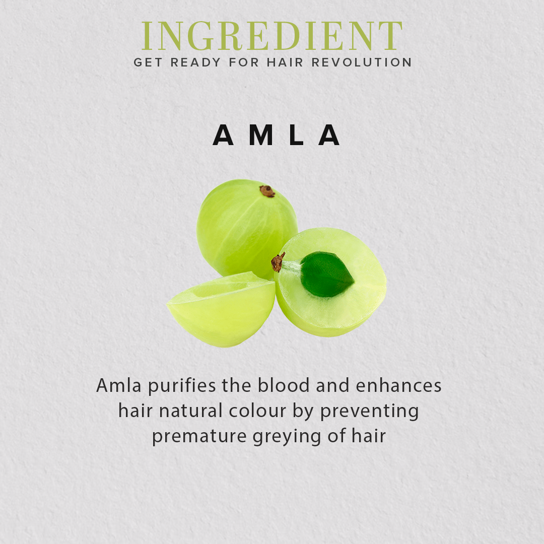 Khadi Natural Organic Amla Fruit Powder For Hair Care - 100% Natural - 100gm