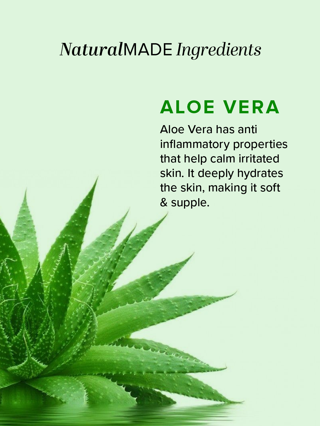 Khadi Natural Aloe Vera Soap Combo Value Pack of 8 - 125gm Each