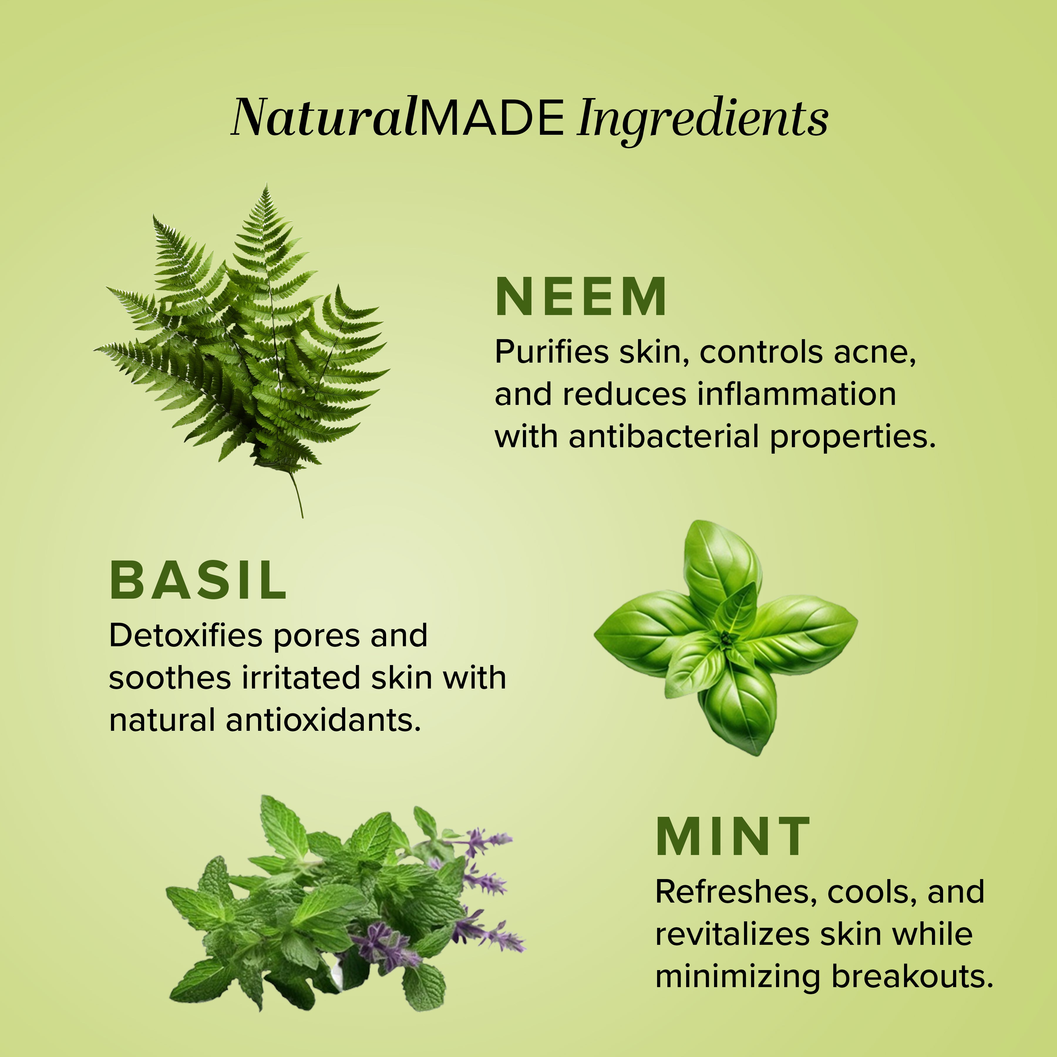 Khadi Natural Neem, Basil & Mint Face Pack - 100gm