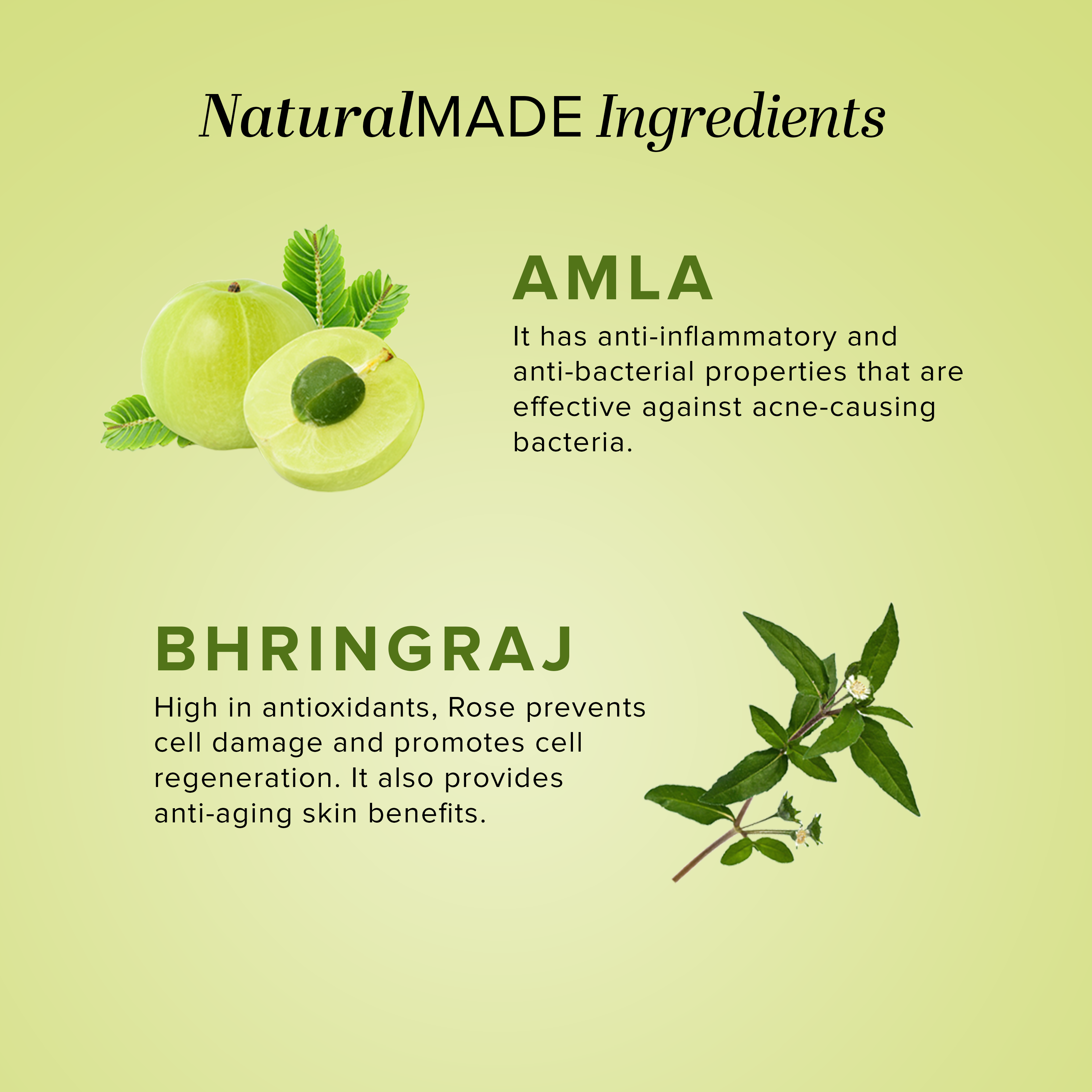 Khadi Natural Amla & Bhringraj Hair Cleanser - 210ml