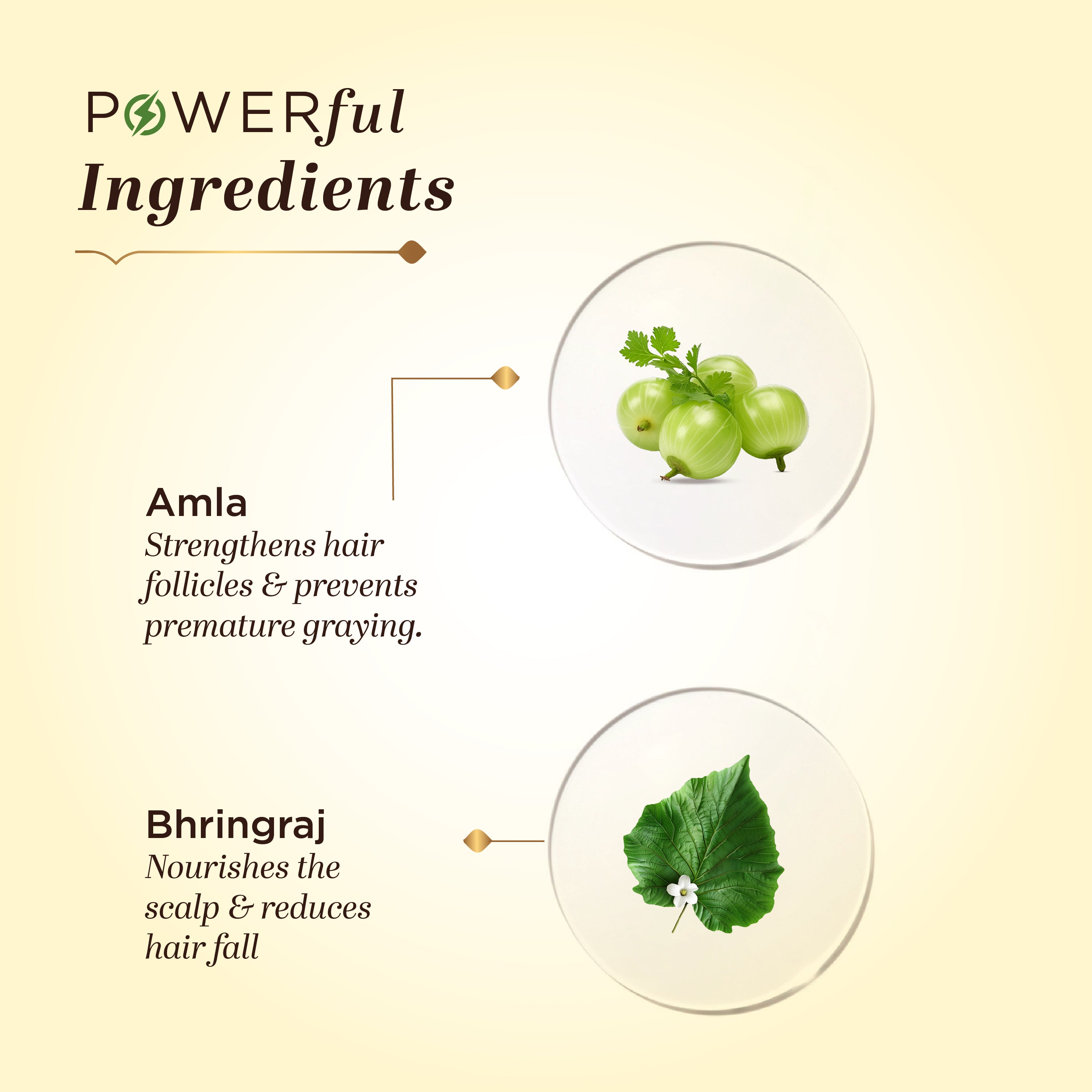 Khadi Natural Amla & Bhringraj Hair Cleanser SLS & Paraben Free Amla & Bhringraj Hair Conditioner Combo Pack of 2 - 210ml Each