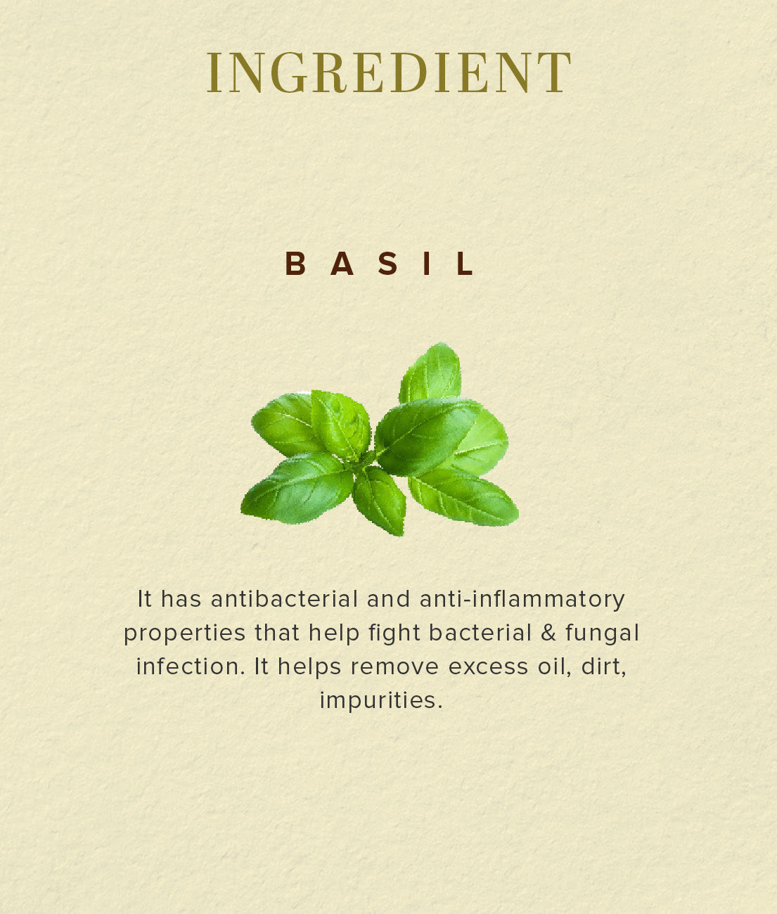 Khadi Natural Herbal Basil Scrub Soap Combo Pack Of 6 – 125gm Each