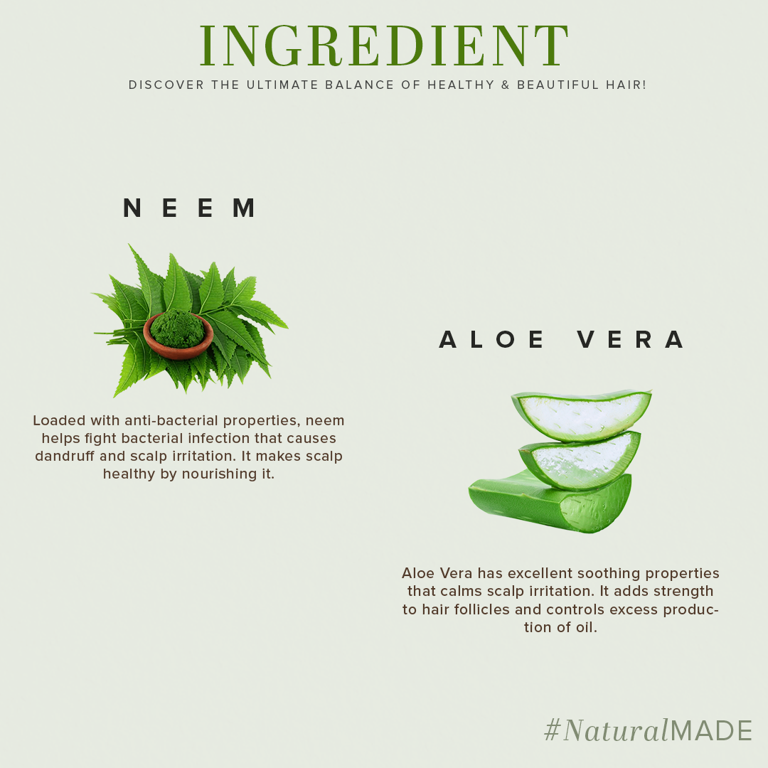 Khadi Natural Aloe Intense Cleanse Pack of 2 Hair Care Combo of Cleanser & Conditioner - 210ml Each