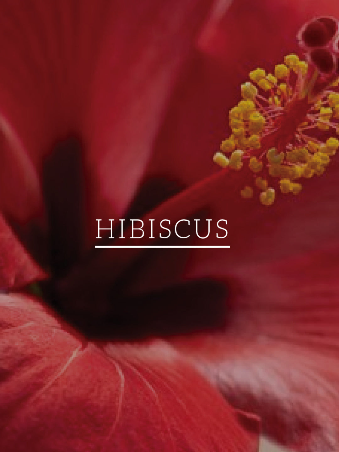 Khadi Natural Hibiscus & Aloe Vera Hair Oil - Mineral Oil, Silicones, Synthetic Fragrance Free - 200ml