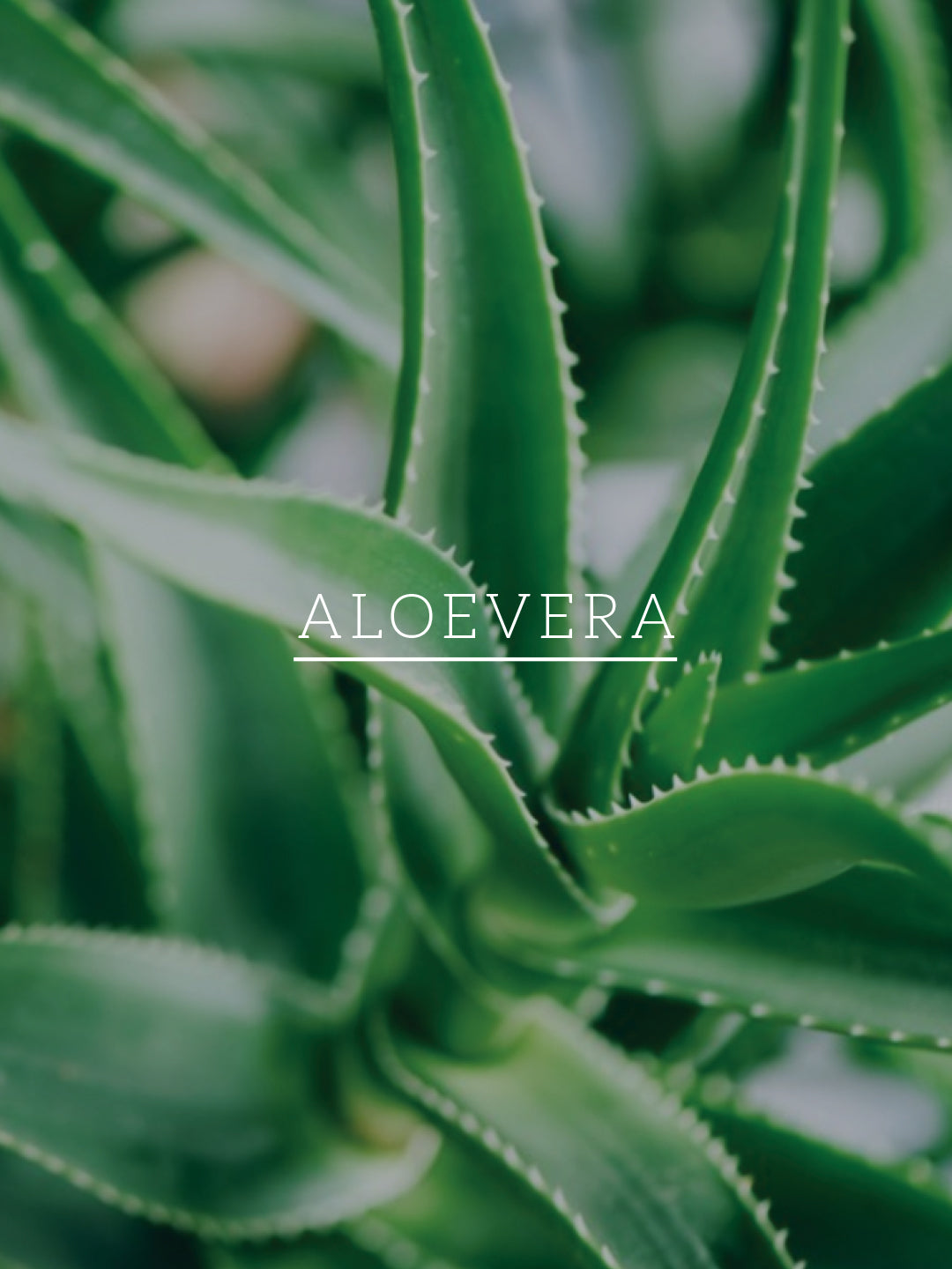 Khadi Natural Hibiscus & Aloe Vera Hair Oil - Mineral Oil, Silicones, Synthetic Fragrance Free - 200ml