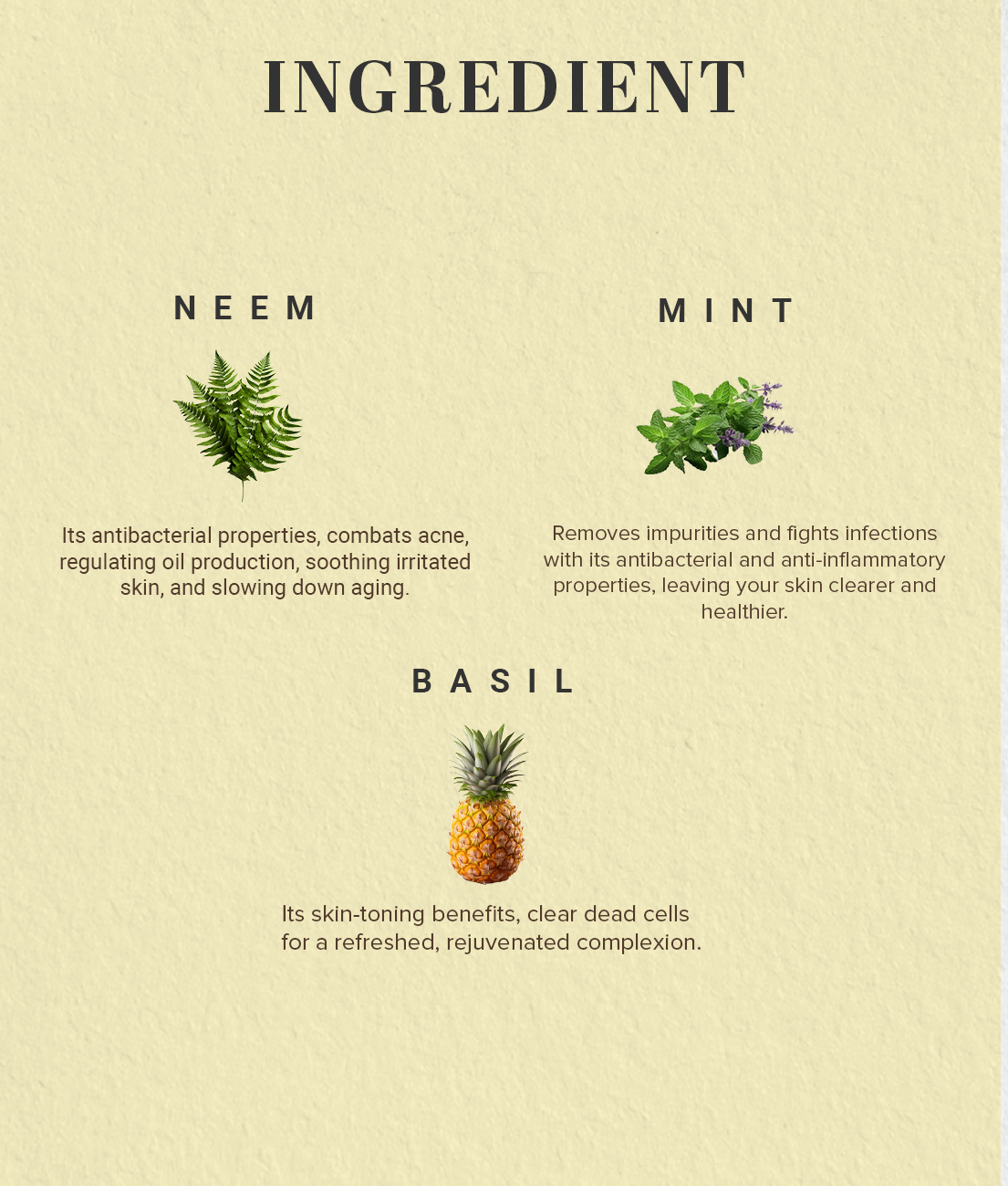 Khadi Natural Neem Basil & Mint Anti Acne Face Pack - 50gm