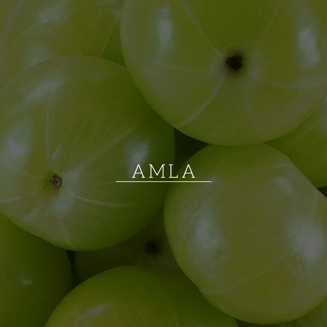 Khadi Natural Amla & Bhringraj Hair Cleanser - SLS, Parabens, Color, Salt & Artificial Fragrance Free - 310ml