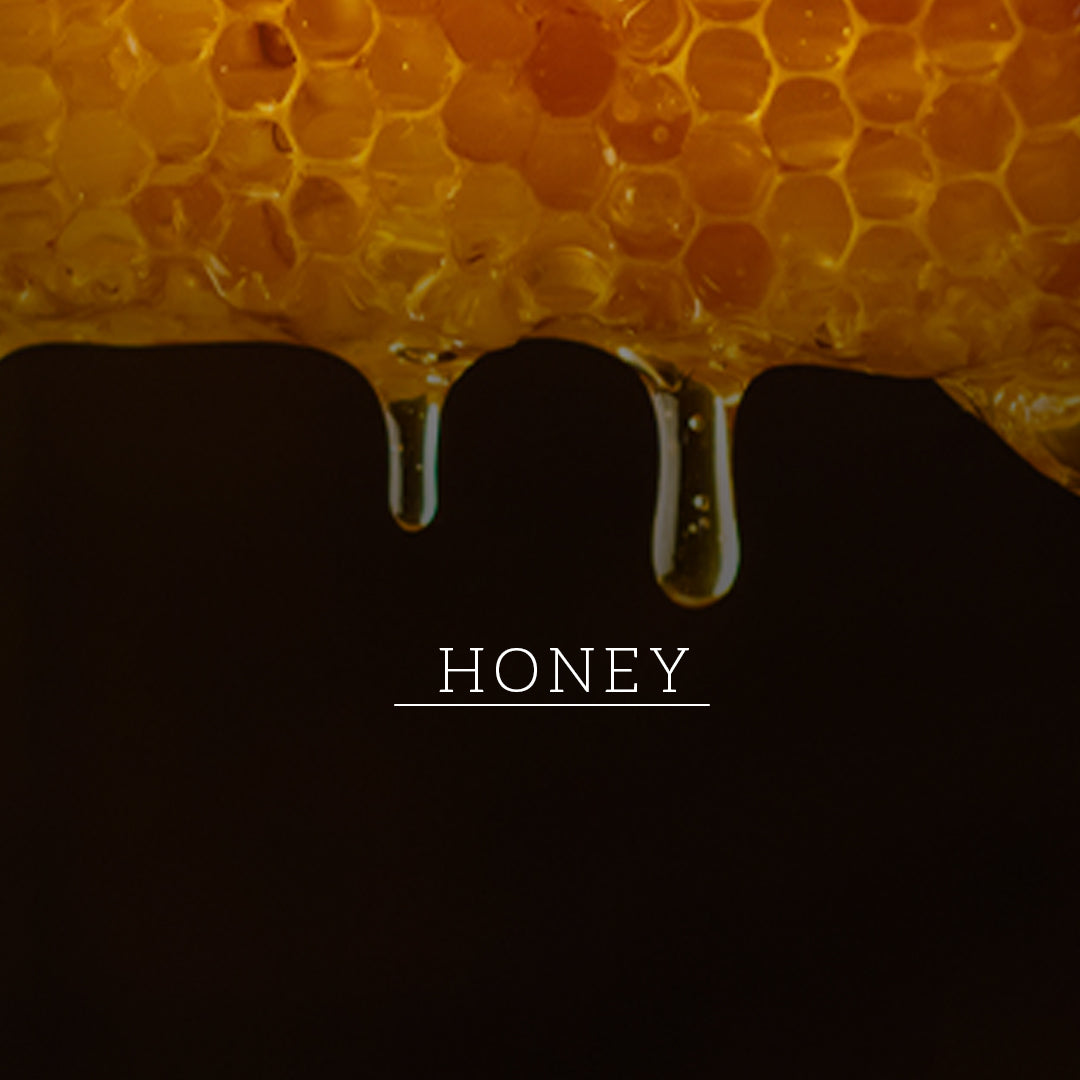 Khadi Natural Shikakai & Honey Shampoo - Powered Botanics - 310ml