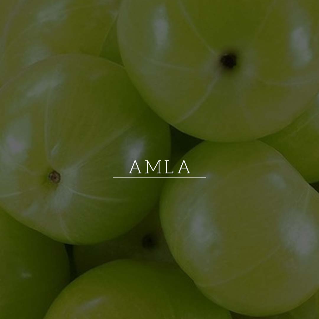 Khadi Natural Amla & Bhringraj Hair Oil - Mineral Oil, Silicones, Synthetic Fragrance Free - 200ml