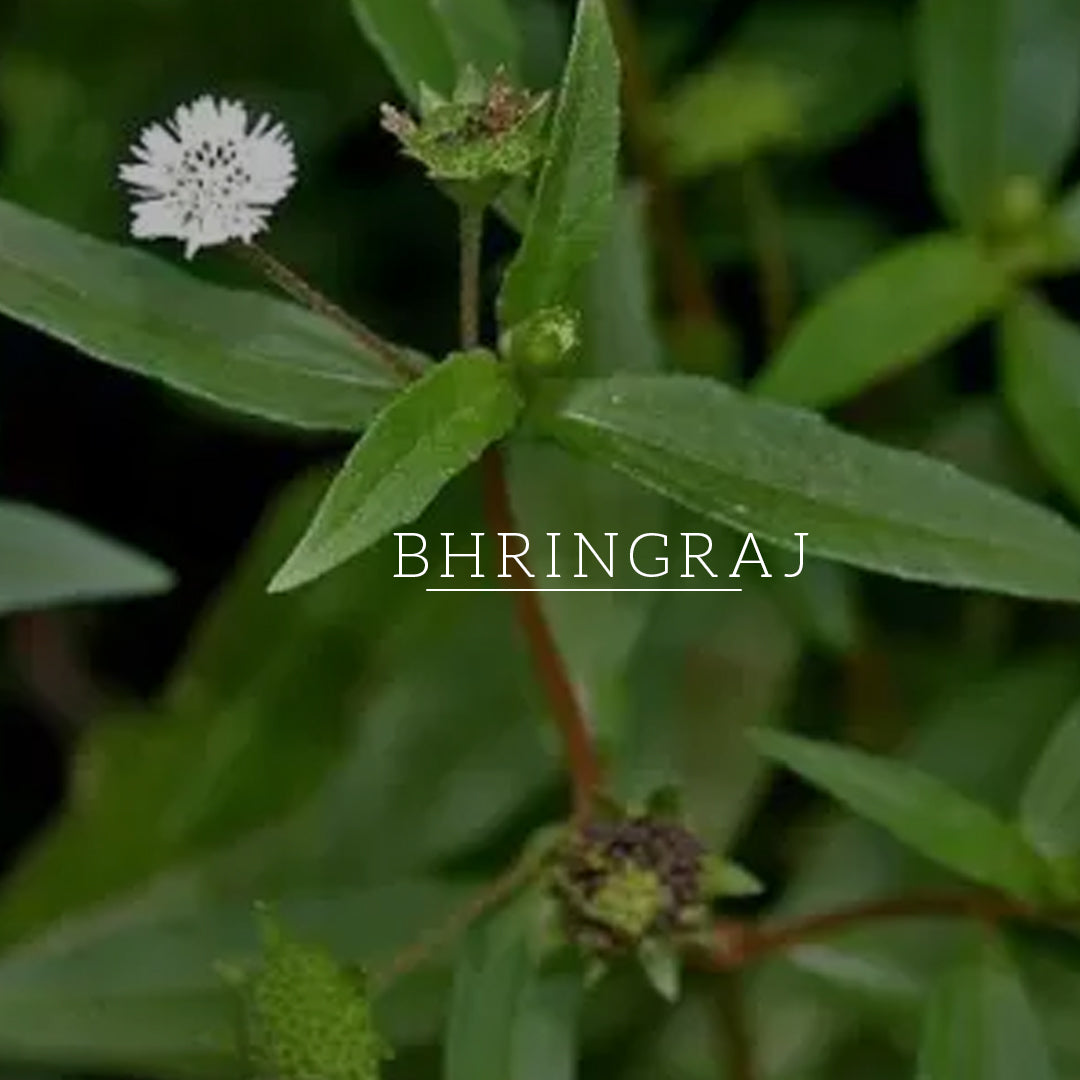 Khadi Natural Amla & Bhringraj Hair Oil - Mineral Oil, Silicones, Synthetic Fragrance Free - 200ml