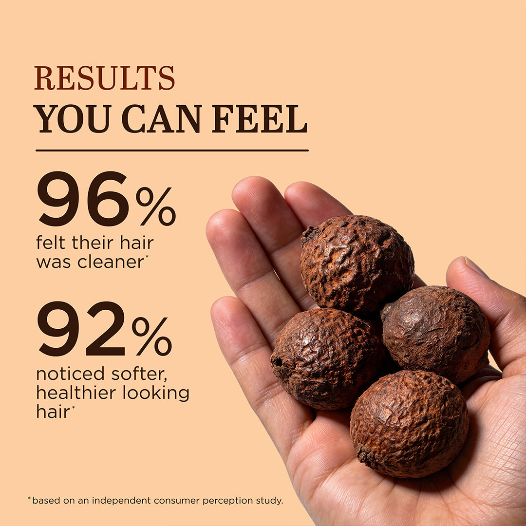 Khadi Natural Reetha Fruit Organic Powder for Hair Cleansing 75gm
