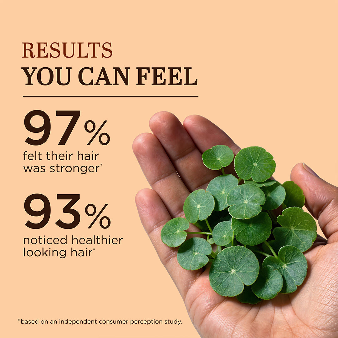 Khadi Natural Brahmi Leaf Organic Powder for Hair Care 100gm