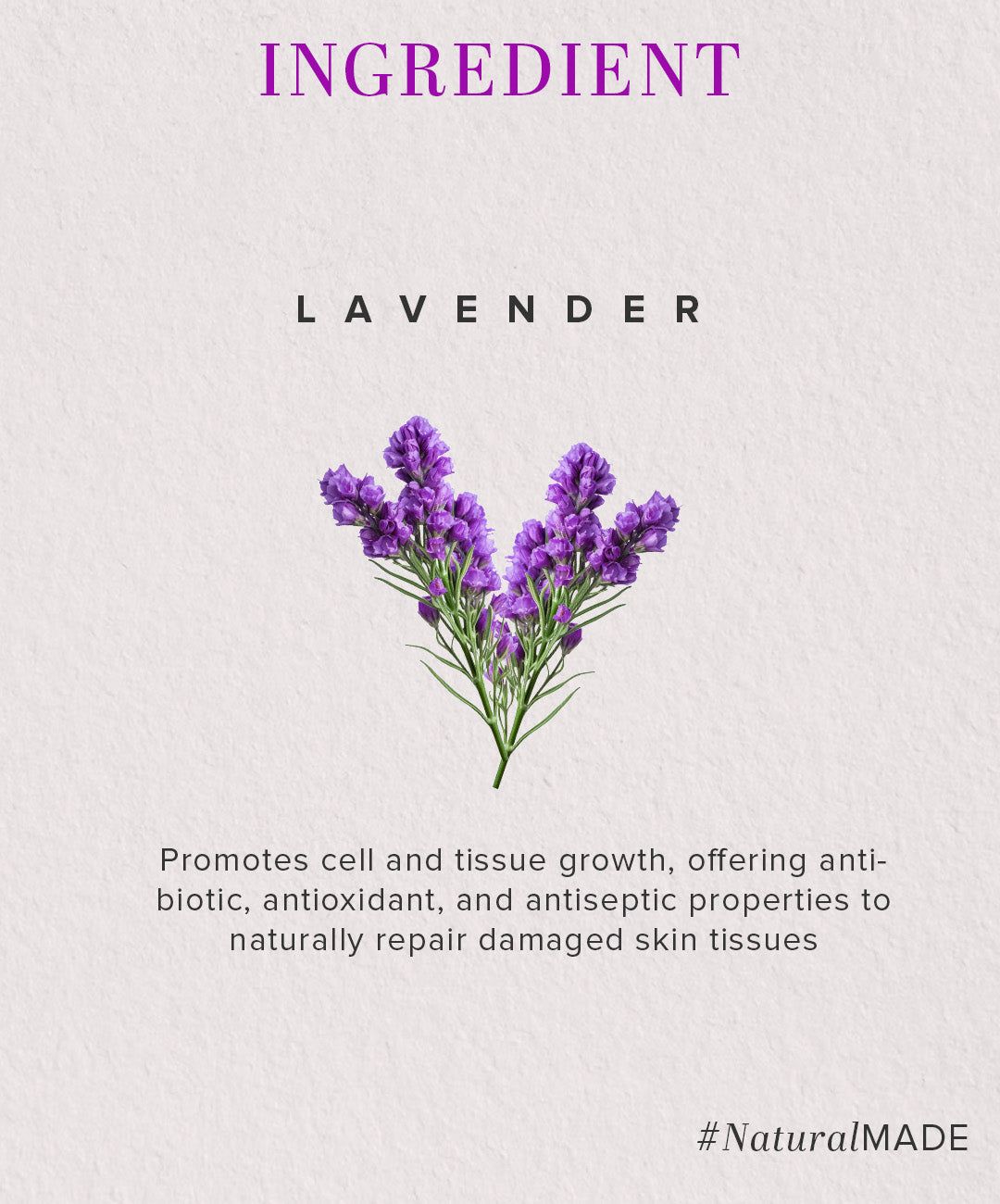 Khadi Natural Lavender Moisturizer- With Sheabutter- Paraben Free-210 ml