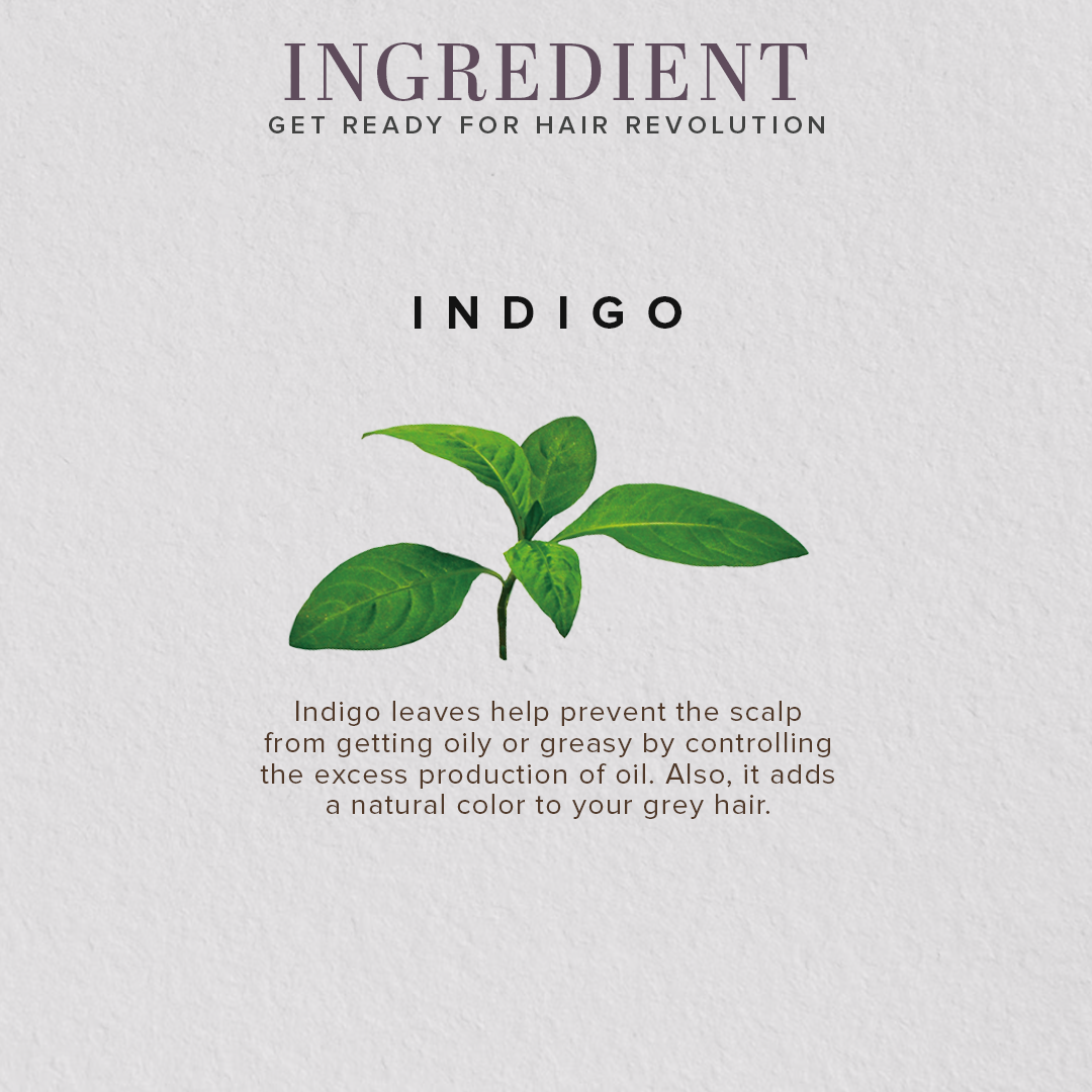 Organic Indigo Leaf Powder - 100% Natural-100 g