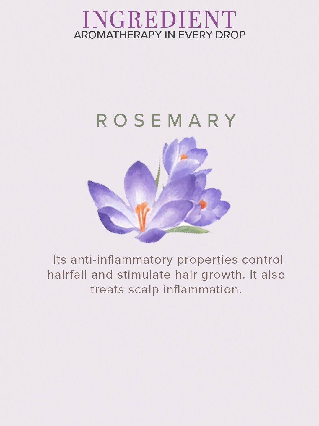 Khadi Natural Herbal Rosemary Essential Oil - 15 ml