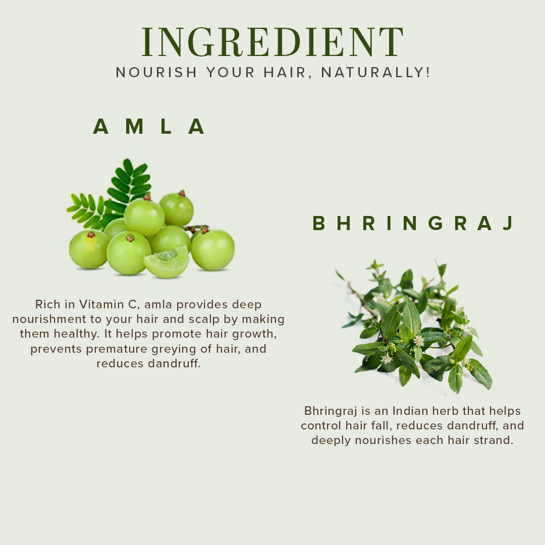 KHADI NATURAL Amla & Bhringraj Shampoo for Controlling Dandruff & Hair fall - 650 ML