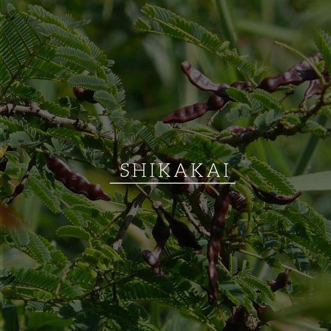 Khadi Natural Shikakai & Honey Shampoo - Powered Botanics - 310ml