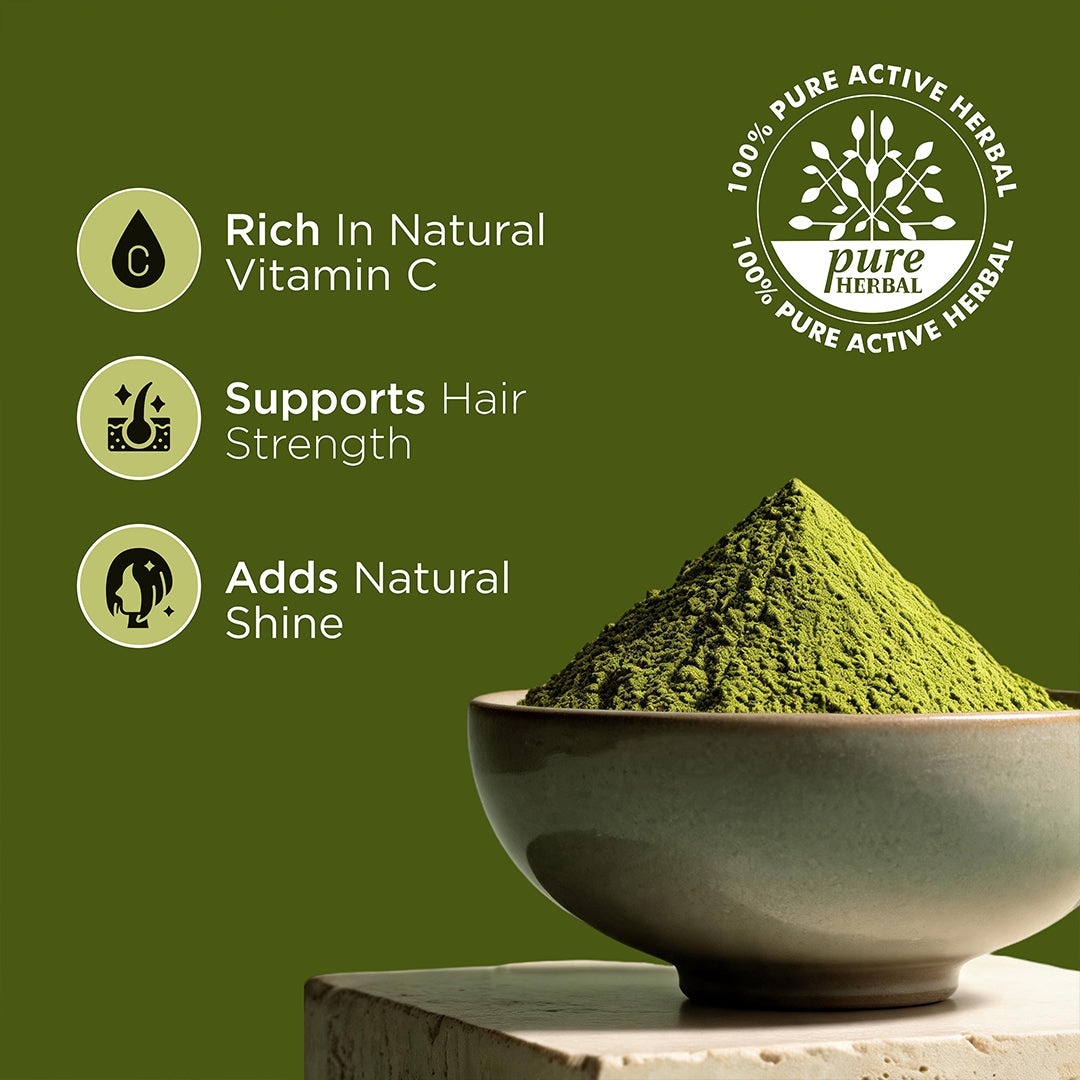 Khadi Natural Amla Fruit Organic Powder for Hair Care 75gm