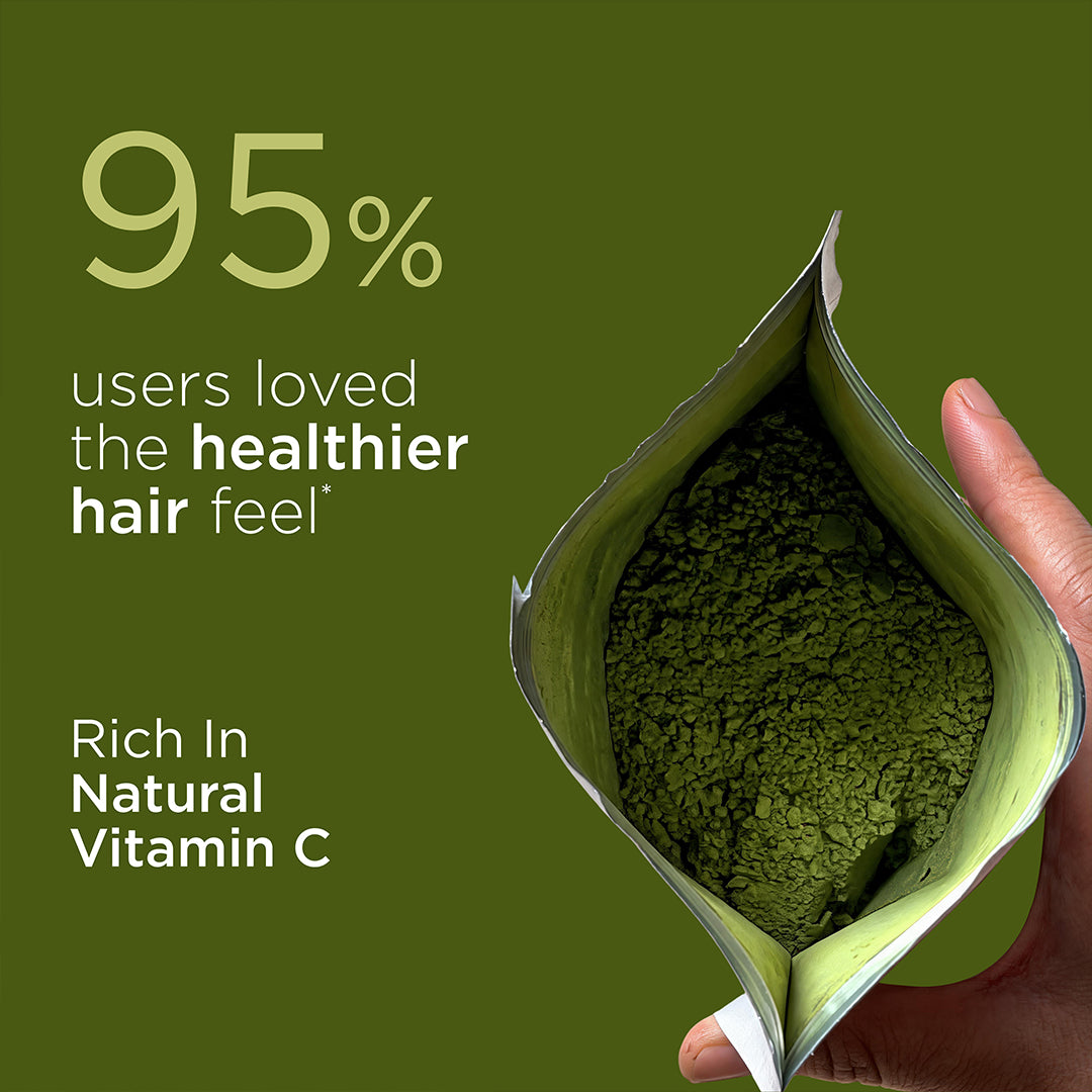 Khadi Natural Amla Fruit Organic Powder for Hair Care 75gm